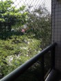 /album/ary-rongel%2c-recreio-l%c3%a2mina-3-qt%c2%bas%2c-130m2/a05-jpg5/